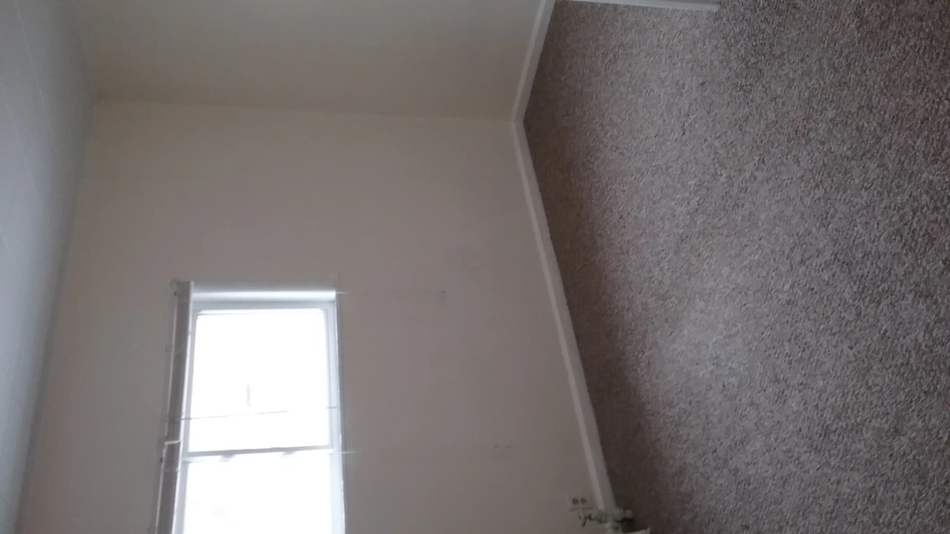 1011 Elm thumbnail 11