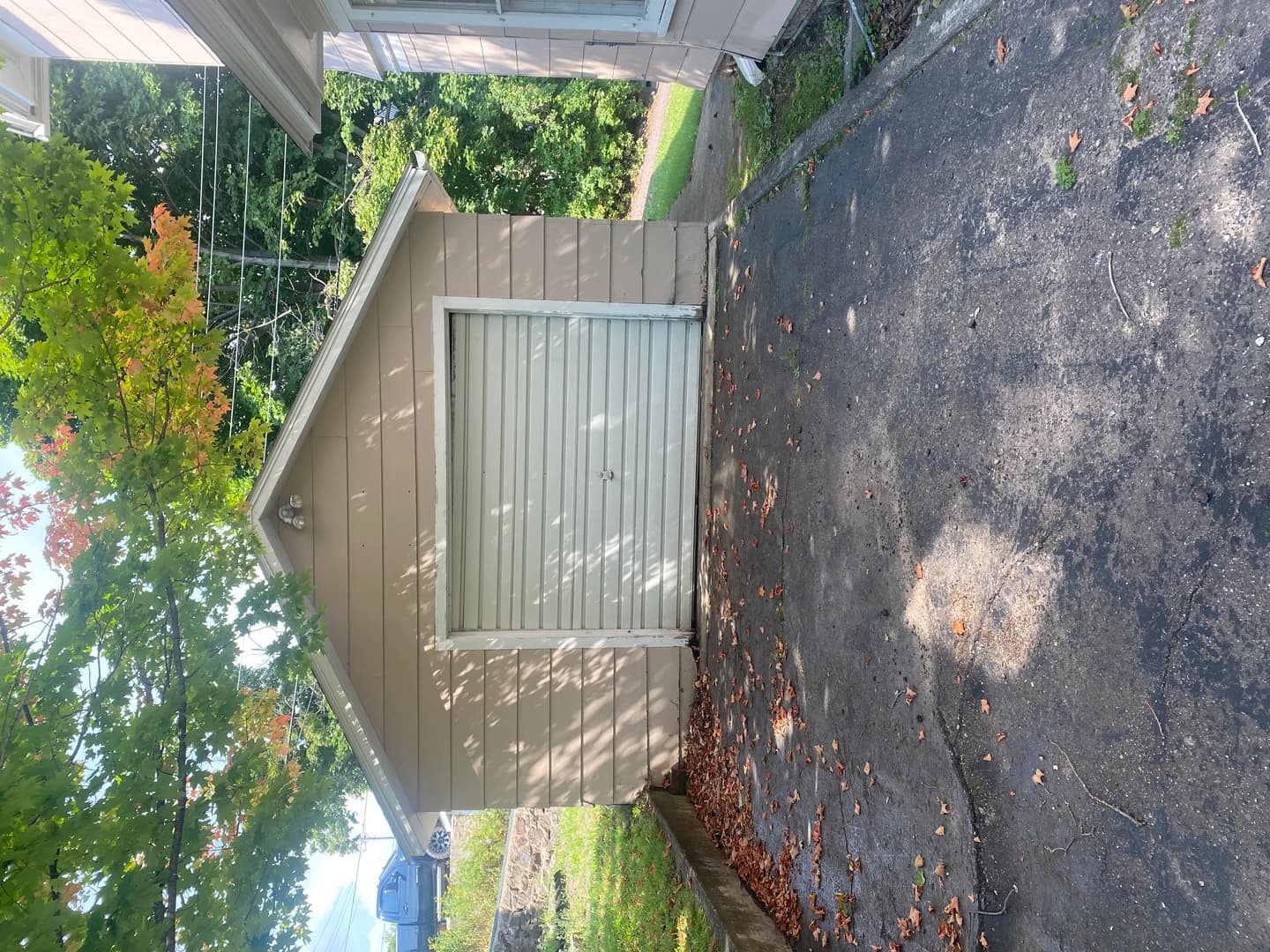 224 Blanche thumbnail 22