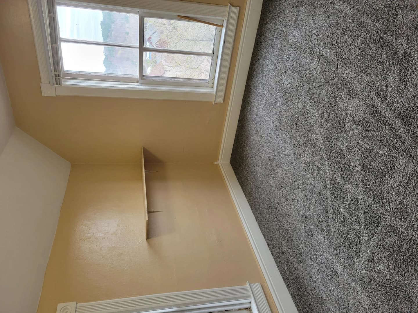 810 East South thumbnail 7