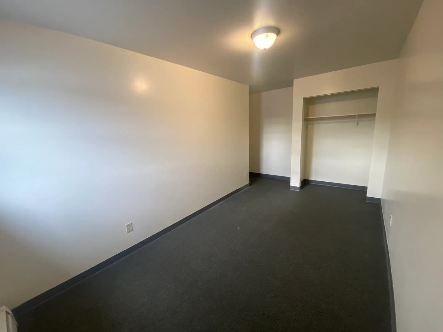 910 Champion thumbnail 4