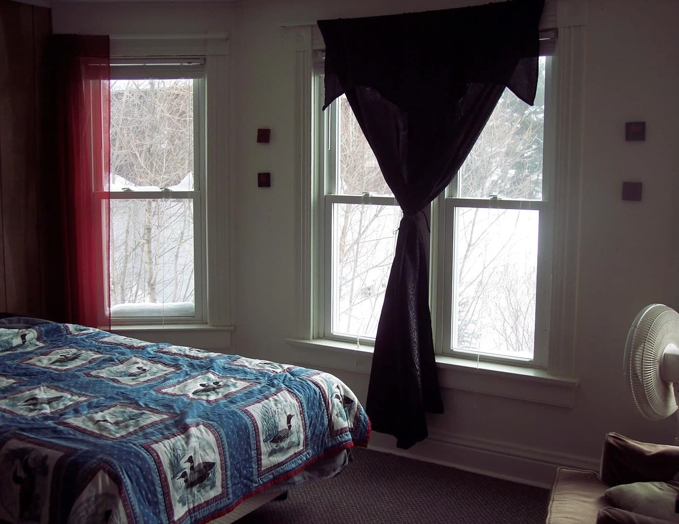 1007 Elm thumbnail 12