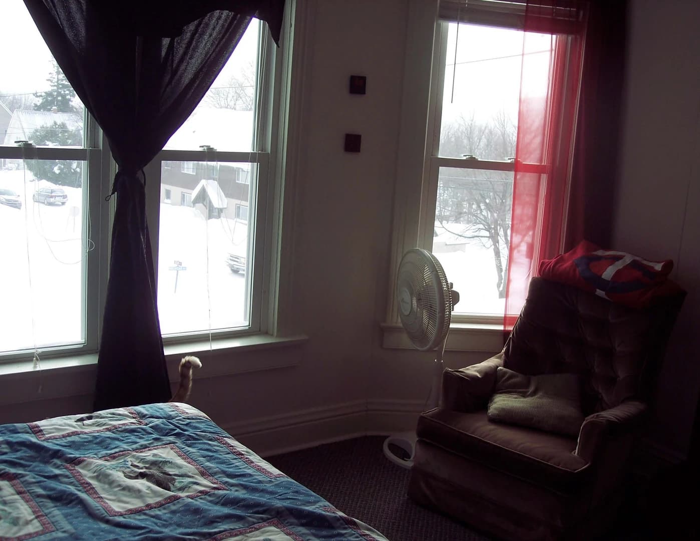 1007 Elm thumbnail 13