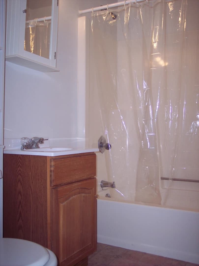 Holiday  thumbnail 5