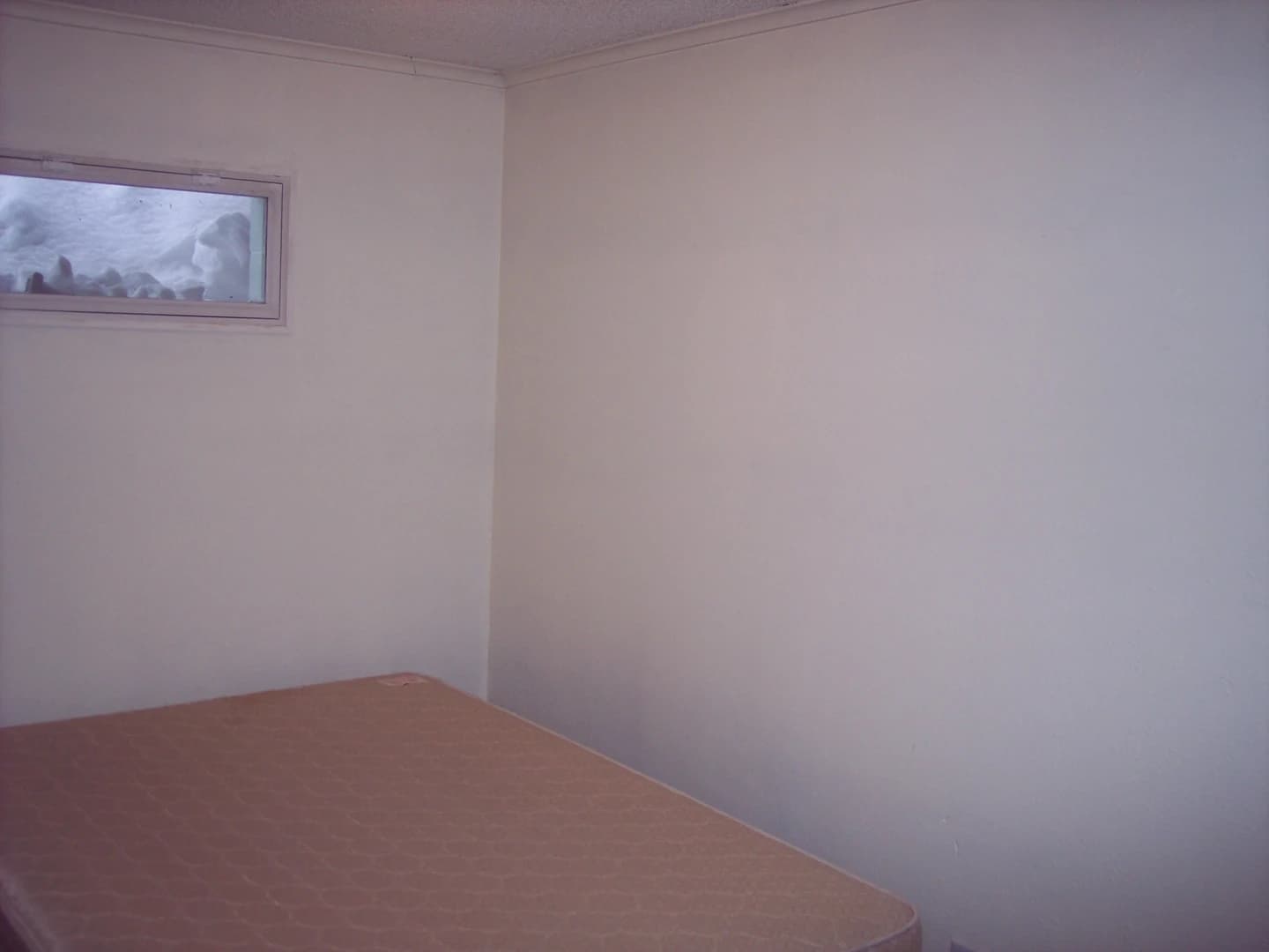 Holiday  thumbnail 4