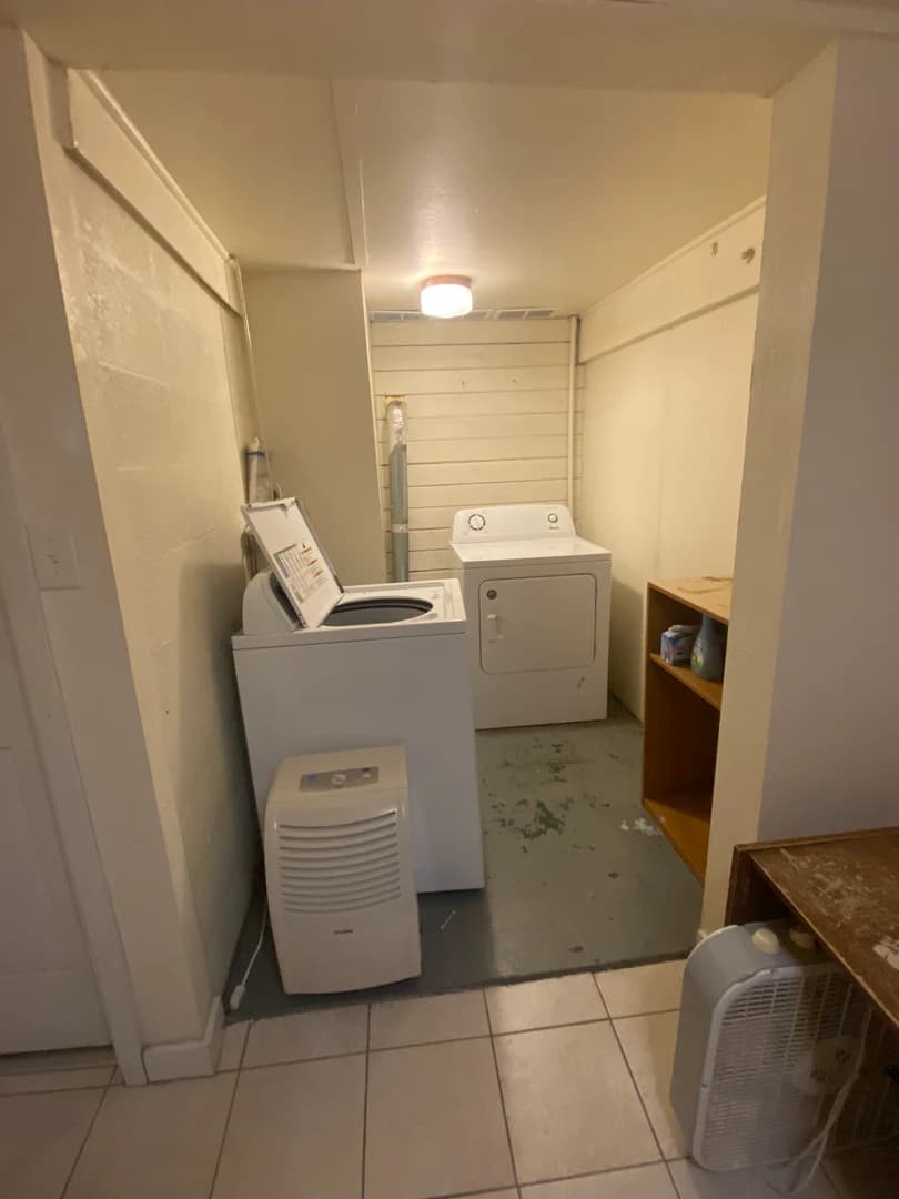 224 Blanche thumbnail 12