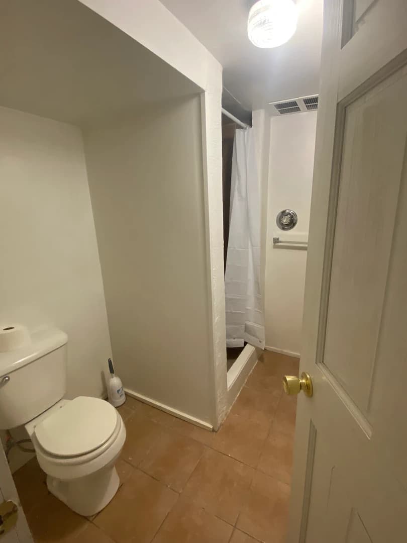 224 Blanche thumbnail 13