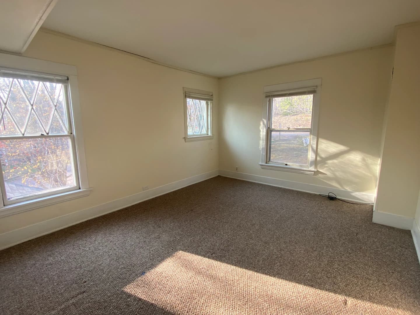 224 Blanche thumbnail 16