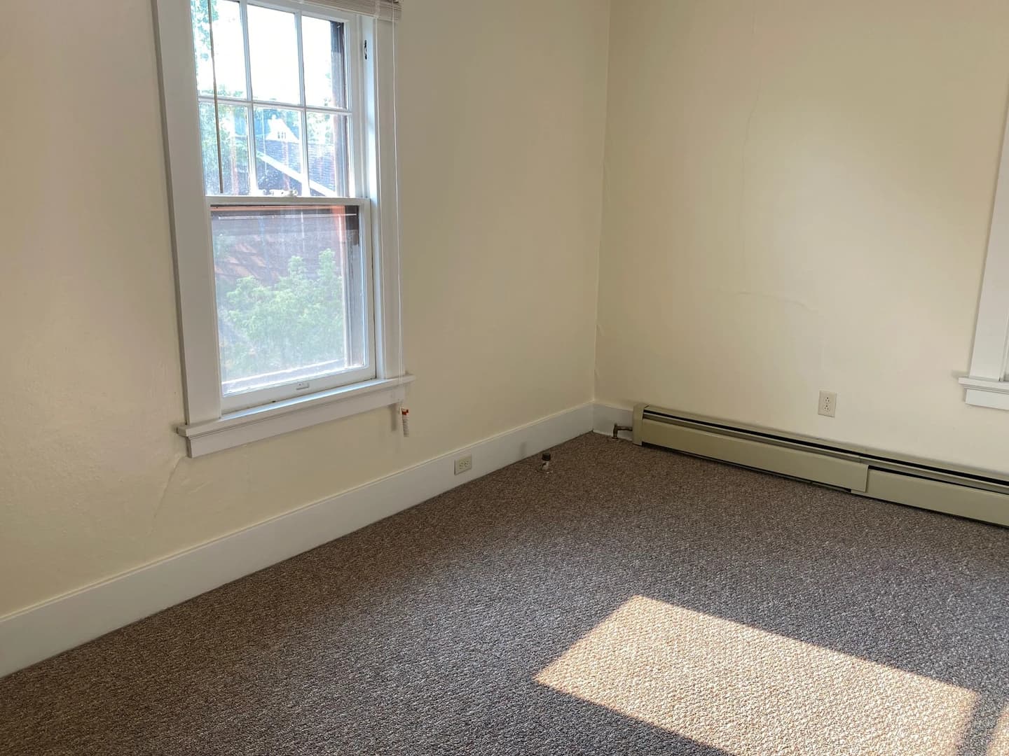 1201 Ruby thumbnail 13