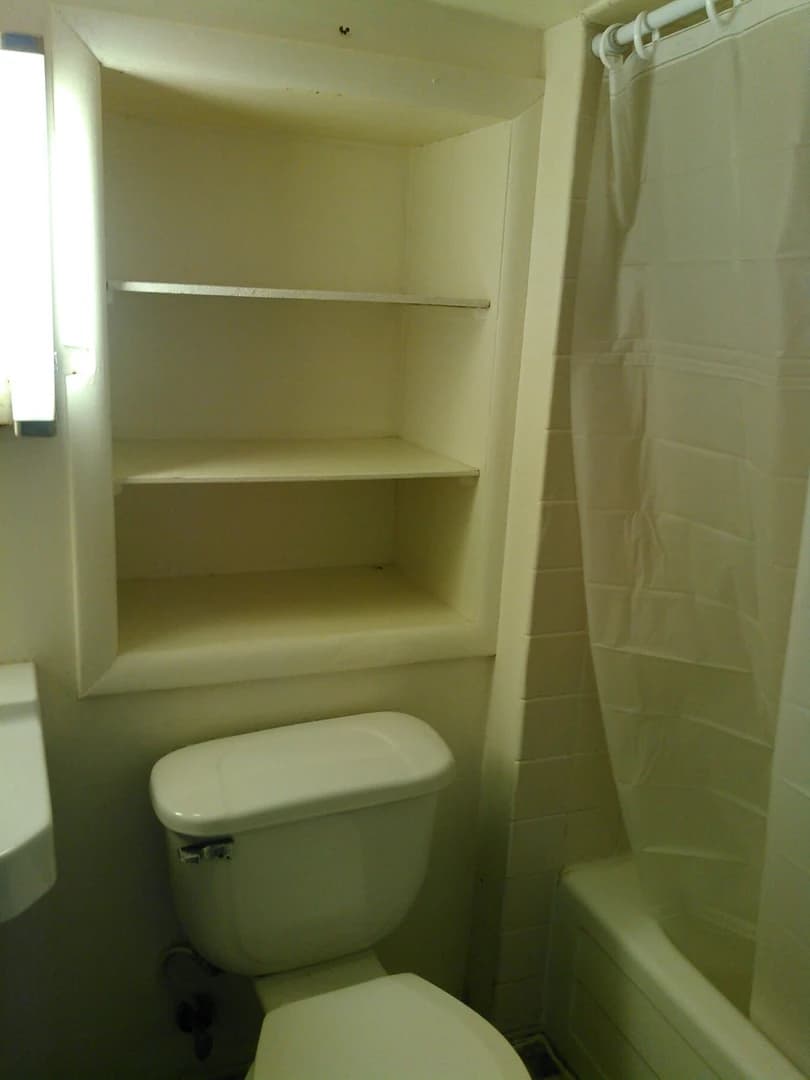 838 Pine Street thumbnail 5